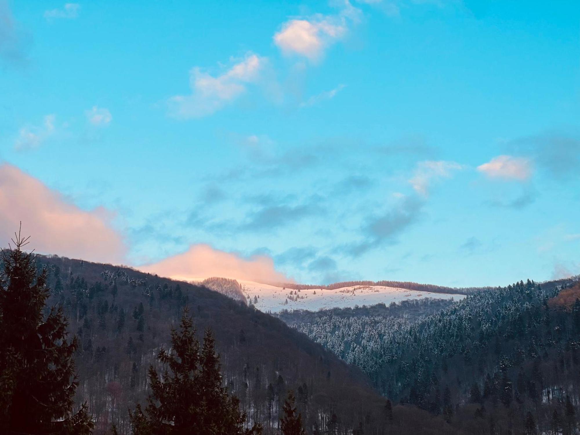 Apartamento The Nest Sinaia Exterior foto